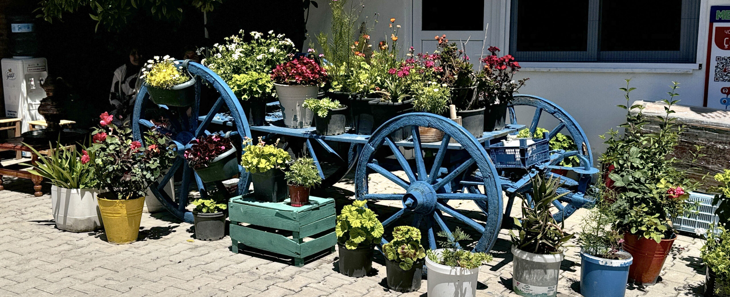 Meyvecidede - Atakum'da İşletme