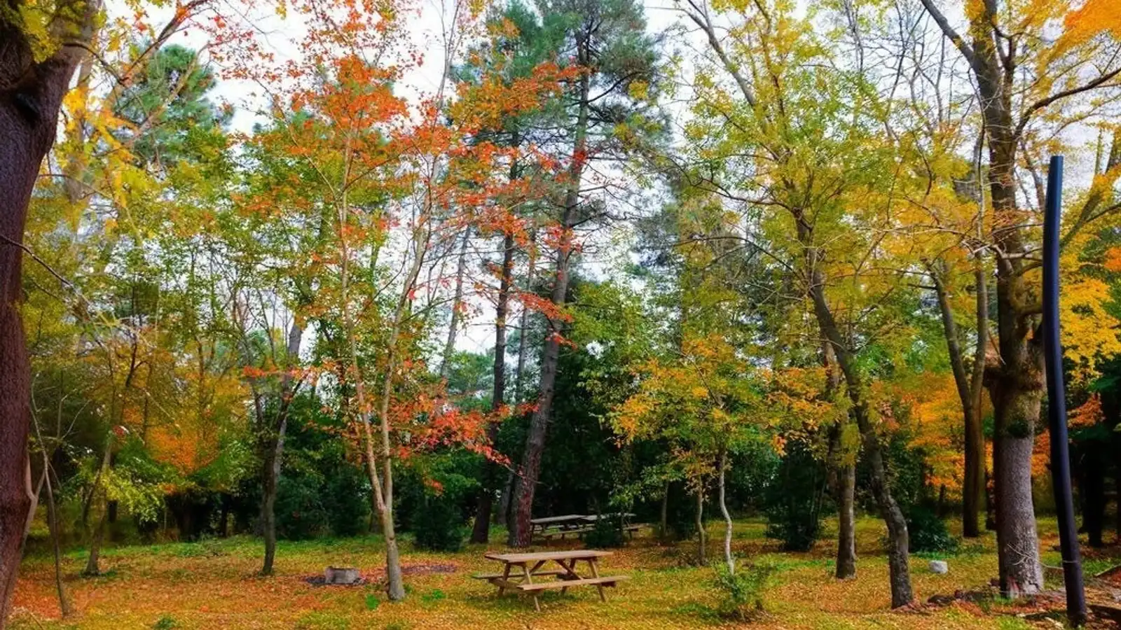 Sarıgazel Tabiat Parkı