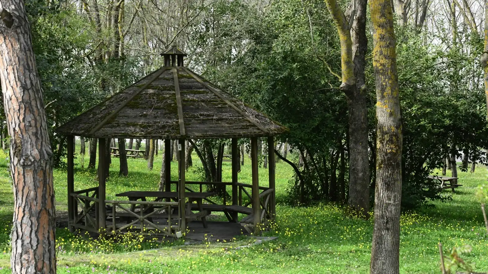 Sarıgazel Tabiat Parkı