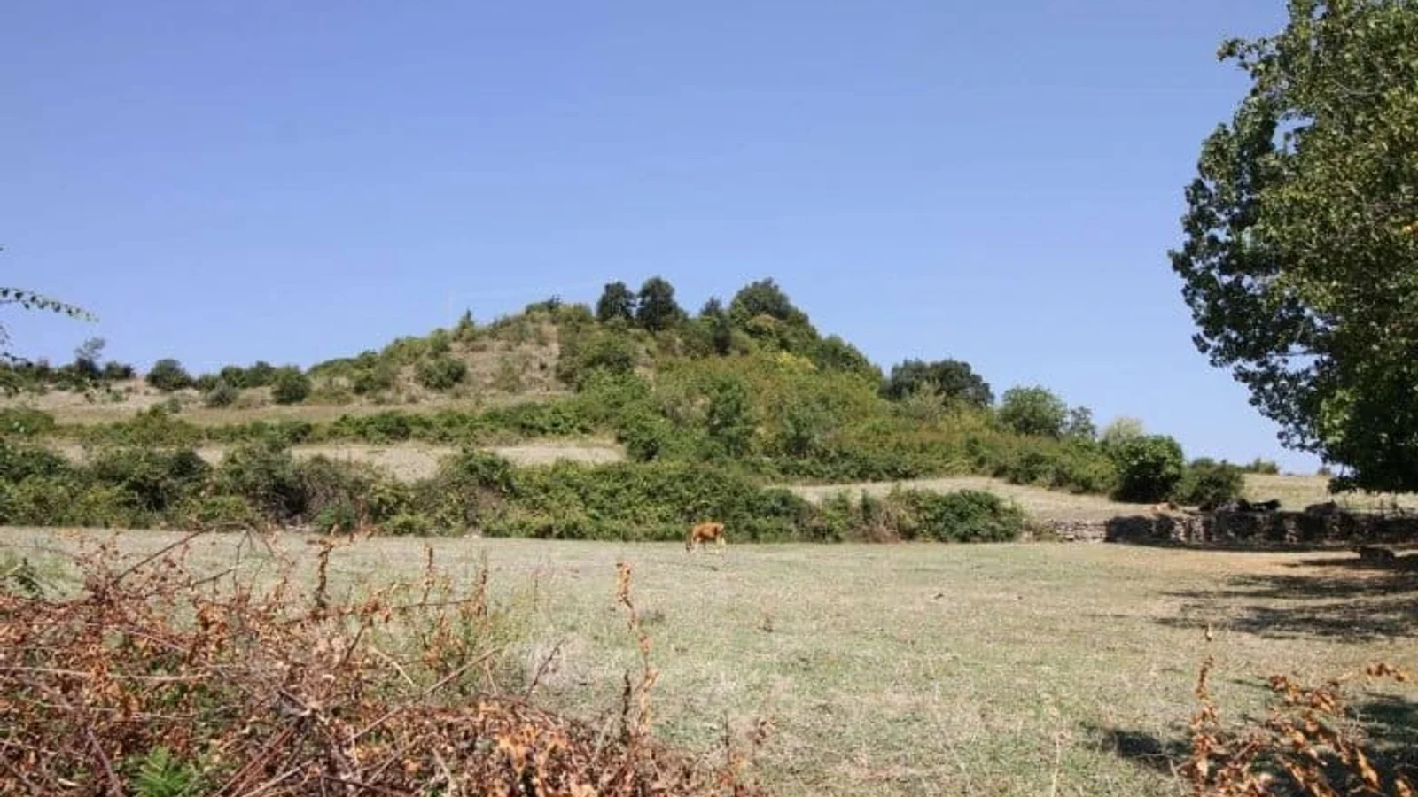 Sivritepe Höyüğü ve Kalesi