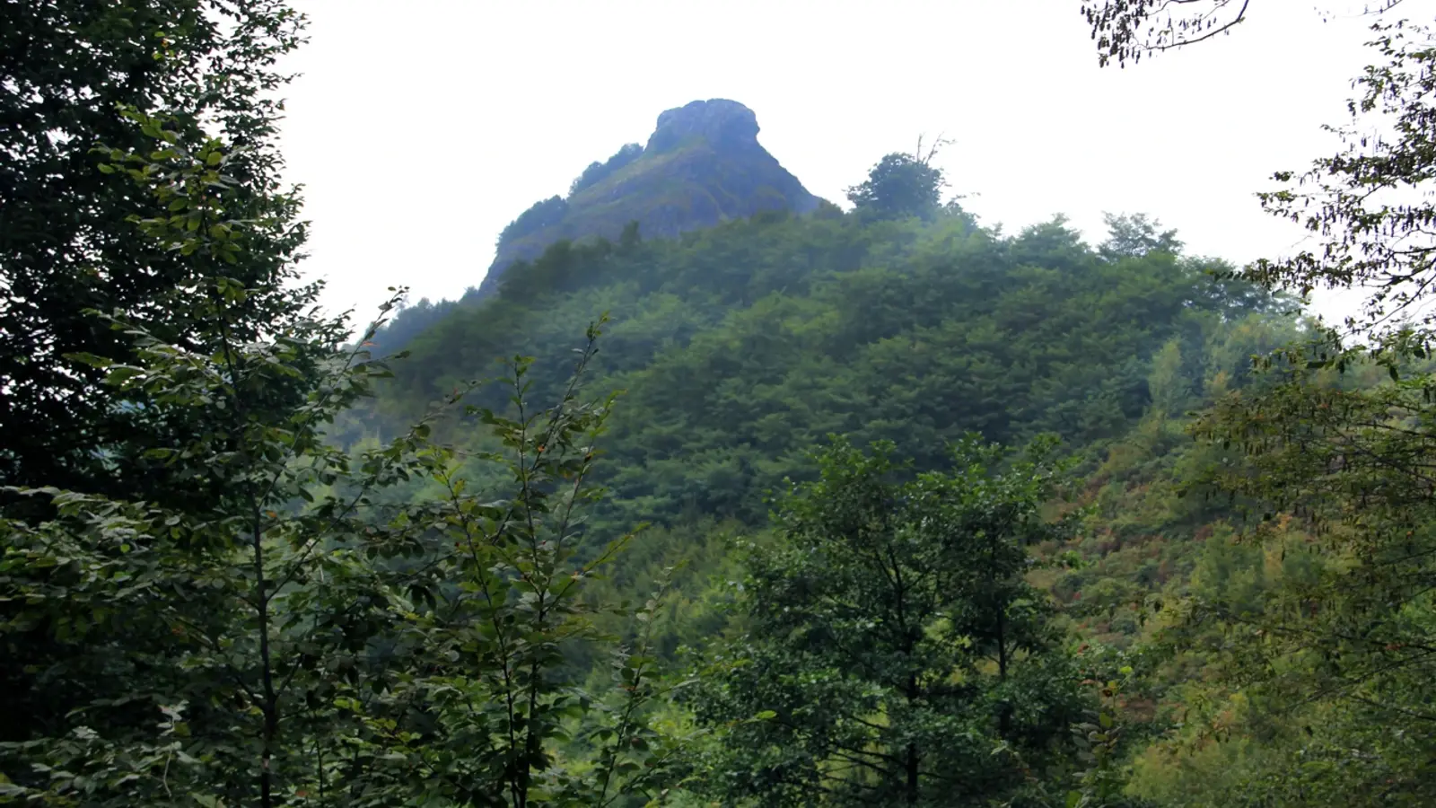 Garpu Kalesi