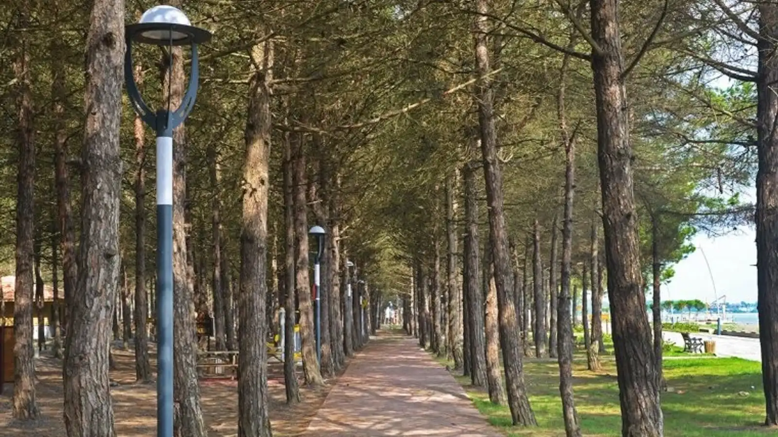 Samsun Büyükşehir Belediyesi Miliç Sahil Tesisleri