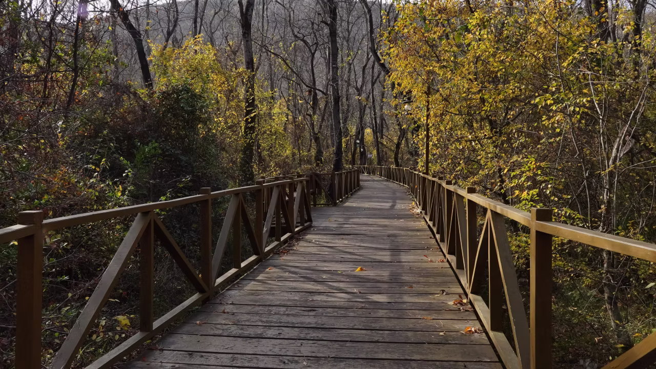 Atakum'u Keşfet: Sahil, Lezzet ve Eğlence Rehberi